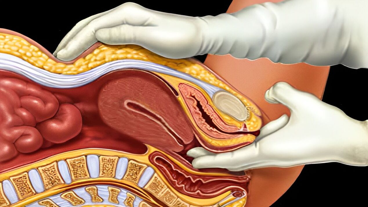 How to Correctly Stimulate the Female G-Spot